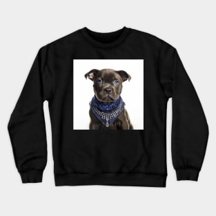 Jewelled Staffy Crewneck Sweatshirt